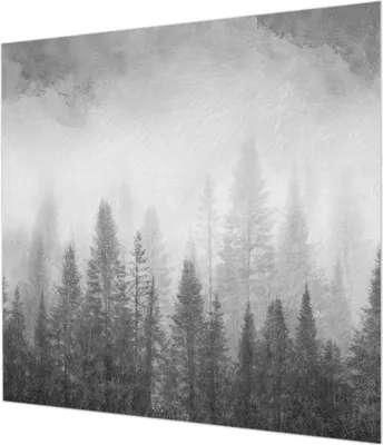 Produktbild von Wandtapete - Dekorative Tapete für Wohnzimmer - Tapetenfolie für Wanddekoration - 250x250 cm - Waldnebel