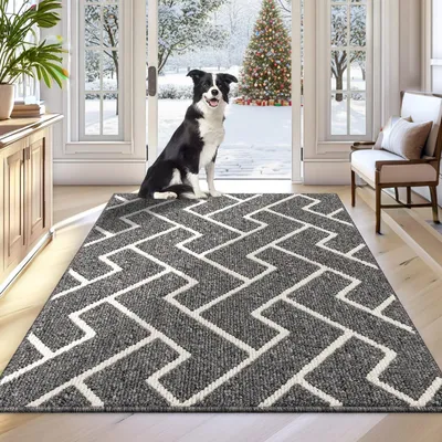 Image de Tapis de protection anti-saleté, 80 x 100 cm, gris, antidérapant, lavable, profil bas