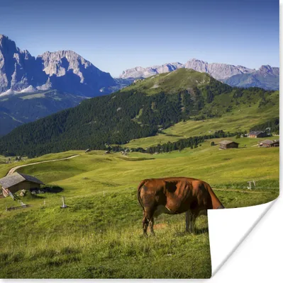 Produktbild von MuchoWow® Poster Kuh - Berg - Alpen 50x50 cm - Wohnzimmerdekoration