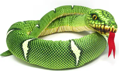 A plush toy snake coiled on a white background.