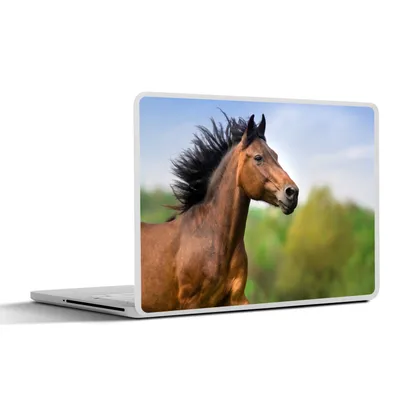 Produktbild von MuchoWow® Laptop Aufkleber Sticker Cover Pferd - Tier - Mähne - Braun 31x22.5 cm - Laptop-Deko