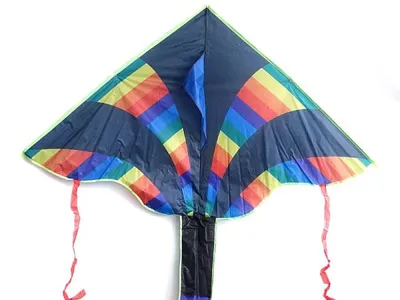 Produktbild von Pfeilförmiger Lenkdrachen aus robustem Material, 140 cm Länge, 80 cm Breite, inkl. Tragetasche