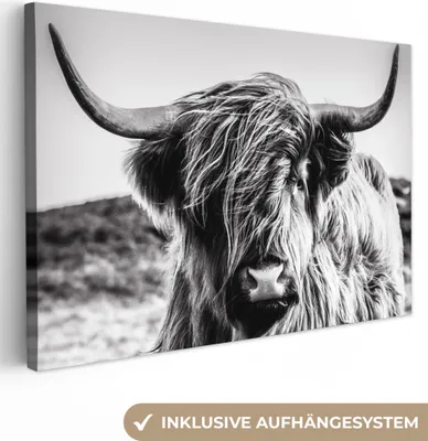 Produktbild von OneMillionCanvasses® - Obrazy na plátně - Kráva - Skotský horal - Černá - Bílá - Zvíře - Příroda - Divoká zvířata, Nástěnné umění, Nástěnné dekorace Obývací pokoj, 120x80cm