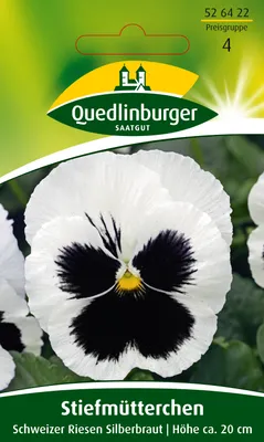 Produktbild von Stiefmütterchen Schweizer Riesen Silberbraut | Stiefmütterchensamen von Quedlinburger