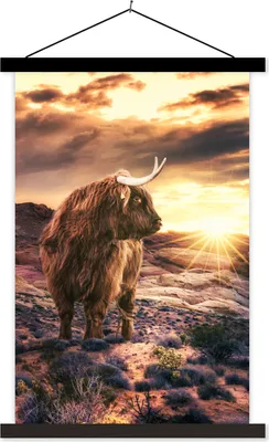Produktbild von MuchoWow® Textilposter Schottisches Hochlandrind - Sonnenuntergang - Tier 120x180 cm mit schwarzem Rahmen - Fotos