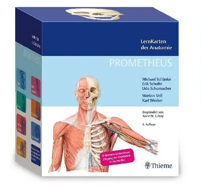 Produktbild von PROMETHEUS LernKarten der Anatomie