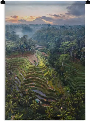 Produktbild von MuchoWow® Wandteppich Wandbehang Reisterrassen zwischen den Bäumen in Indonesien 60x90 cm Tapisserie Dekoration Wandtuch - Foto-Teppich - Abwaschbar