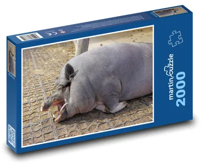 Obrázek produktu pro martinpuzzle - Puzzle 2000 - Prase