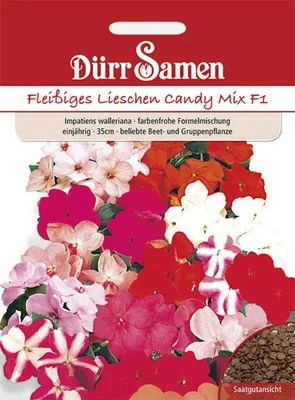 Produktbild von Dürr-Samen - Fleißige Lieschen Mischung F1 einjährig 35 cm - Saatgut - 1021