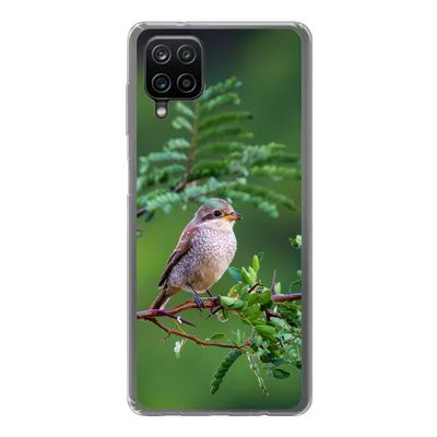 Produktbild von MuchoWow® Handyhülle Schutzhülle Hülle für Samsung Galaxy A12 Vogel - Baum - Wald Silikon Softcase Handy Hülle - Bild