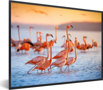 Produktbild von MuchoWow® Gerahmtes Poster Flamingo - Tiere - Wasser - Rosa 80x60 cm - Poster mit Schwarzem Bilderrahmen Wandposter Rahmen Foto Bilder - Schwarzem - Mit Gestell