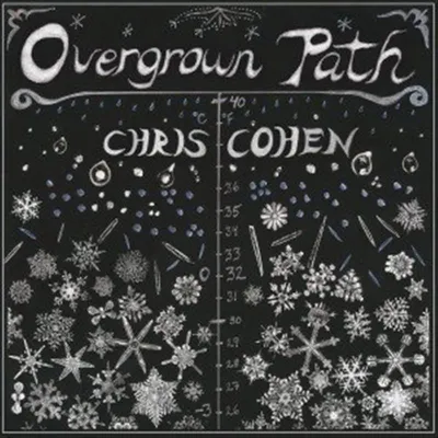 Obrázok produktu pre Chris Cohen: - 375 Media - (CD / O)
