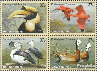Produktbild von Briefmarken UNO - New York 2003 Mi 925-928 Viererblock (kompl.Ausg.) postfrisch Vögel