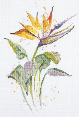 Immagine prodotto di Set punto croce Panna "Strelitzia" 20x30cm, schema di conteggio