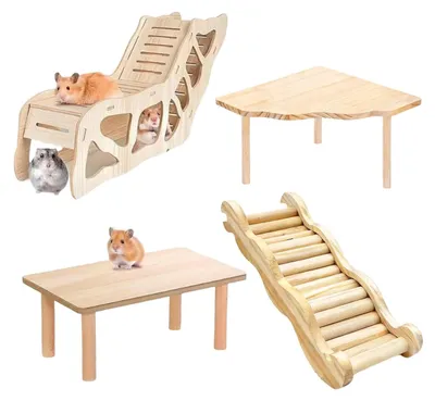 Image de Structure d'escalade en bois pour hamsters et petits animaux de compagnie
