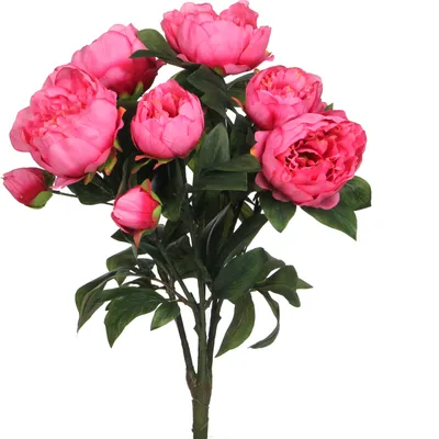 Produktbild von Mica Decorations Pfingstrosen Kunstblumenbukett - H55 x Ø40 cm - Dunkelrosé