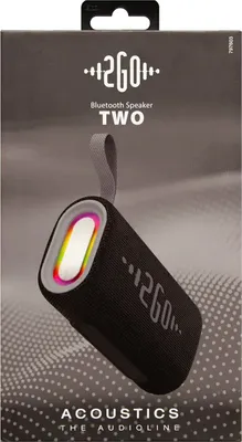 Produktbild von 2GO Bluetooth Lautsprecher Acoustic Two mit RGB-Lichtshow