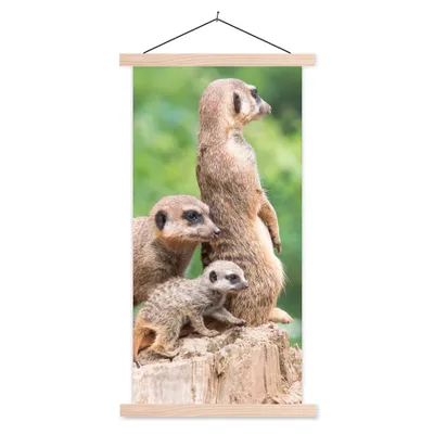 Produktbild von MuchoWow® Textilposter Erdmännchen - Baumstumpf - Jungtier 60x120 cm mit holzfarbenen Rahmen - Holz