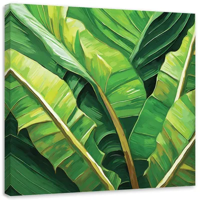 Produktbild von Leinwandbild Bananenblätter grün 30x30 Feeby Grün bild für die wand bereit zum aufhängen