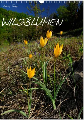 Produktbild von WILDBLUMEN (Wandkalender 2025 DIN A3 hoch), CALVENDO Monatskalender