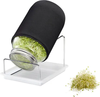 Produktbild von Westmark Sprossenglas-Set, 1 Glas, 2000 ml, 66652260