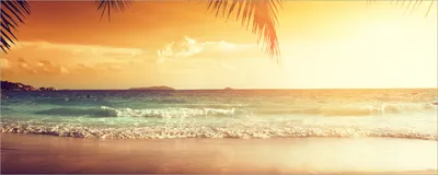 Produktbild von Wallario Poster - Sonnenuntergang am Strand in der Karibik, Kunstdruck Größe: 50 x 125 cm