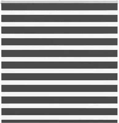 Produktbild von Doppelrollo Schwarz 150x100 cm Stoffbreite 145,9 cm Polyester