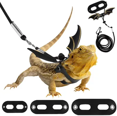Produktbild von Reptilienleine aus Leder für den Außenbereich, Leine mit Fledermausflügeln, verstellbare Leine, 3 Größen