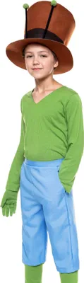 A child wearing a costume.