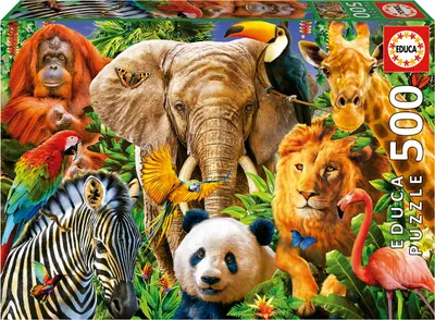 Image de Educa - Wildtiere 500 Teile Puzzle