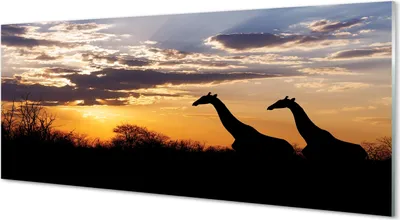Produktbild von Glasbilder 125x50 Wandkunst Giraffen Baum Wolken