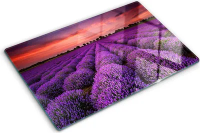 Obrázok produktu pre Sklenená ochranná doska – Kryt varnej dosky – Kryt na indukčnú dosku – 80x52 cm – Rýchle čistenie – Tvrdené sklo – Levanduľové pole
