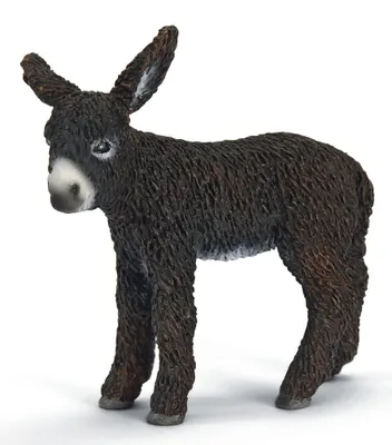 Obrázok produktu pre schleich 13686, 3 rok / roky, Hnedá, Plast
