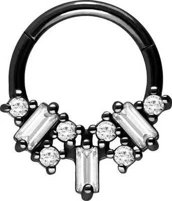 Produktbild von Ohrpiercing, Nasenpiercing, Septum Piercing Chirurgenstahl Segmentring Clicker KRISTALLGEBILDE