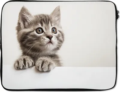 Produktbild von MuchoWow® Laptop Hülle 17 Zoll Laptoptasche Katze - Grau - Tiere - Zipper - Schutzabdeckung
