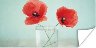 Produktbild von MuchoWow® Poster Mohn - Stilleben - Blumen 160x80 cm - Foto Poster