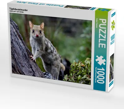 Produktbild von Calvendo Tüpfelbeutelmarder 1000 Teile Puzzle quer 640x480mm, Fietzek Anke; 7288613
