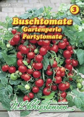 Produktbild von Partytomate Gartenperle | Kirschtomatensamen von N.L. Chrestensen