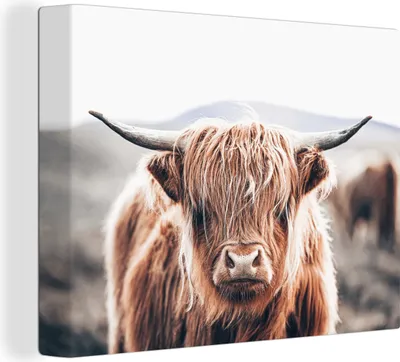 Produktbild von MuchoWow® - Leinwandbilder - Schottischer Highlander - Berg - Hoorn, Wandbild, Wanddeko Bilder Wohnzimmer, 120x90 cm