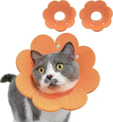 Imagen del producto de Uniqoos® - Juego de 2 cuellos protectores de EVA suaves, collar elisabetano ajustable para gatos y perros pequeños, color naranja, diámetro interior de 7–8 cm, diámetro exterior de 19–22 cm, profundidad de 11 cm, circunferencia del cuello de 22–25 cm
