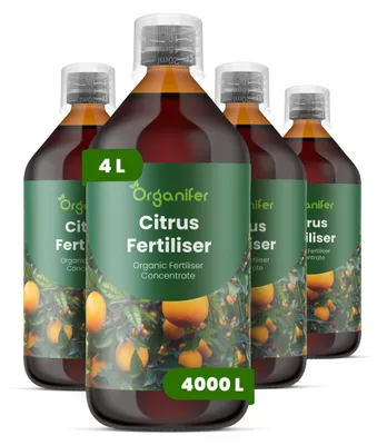 Obrázok produktu pre Citrus, tekuté hnojivo 4x1 L – 2-1-8 (NPK) – Pre citrusové rastliny – Pre zdravé listy, bohaté kvitnutie a tvorbu plodov – Podporuje rast koreňov – Organický produkt