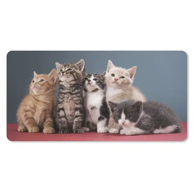 Produktbild von MuchoWow® Mauspad Mousepad Kätzchen - Blau - Rosa - Mädchen - Jungen - Kind 60x30 cm - Mousepads - Maus Mat - Pad - Mausunterlage - Nachhaltig
