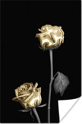 Produktbild von MuchoWow® Poster Blume - Weiß - Schwarz 120x180 cm - Kunstposter
