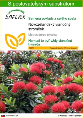 Obrázok produktu pre SAFLAX - Novozélandský vianočný stromček - Metrosideros excelsa - 300 Semená - S pestovateľským substrátom bez klíčkov