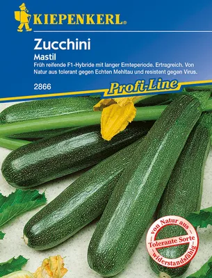 Produktbild von [STREICHUNG 2025] Zucchini Mastil F1 | Zucchinisamen von Kiepenkerl
