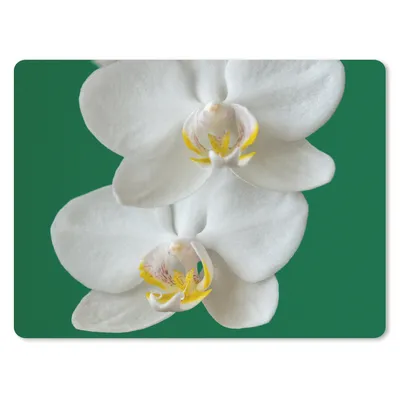 Produktbild von MuchoWow® Mauspad Mousepad Orchidee mit grünem Hintergrund 23x19 cm - Mousepads - Maus Mat - Pad - Mausunterlage - Schreibtischunterlage - Mauspad