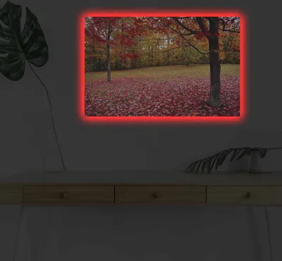 Produktbild von Opviq, 4570DHDACT- SHN4354, Bunt, Leinwandbilder, 45 x 70 cm, 100% Wildleder -Leinwand