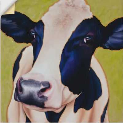 Produktbild von ARTland Wandbild, selbstklebend Kuh Paula Größe: 40x40 cm