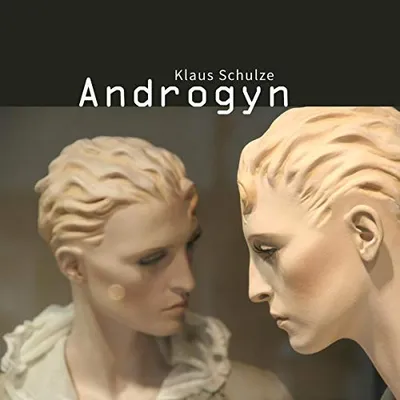 Produktbild von Androgyn(Bonus Edition)