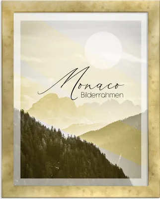 Produktbild von Bilderrahmen Monaco 60x90 cm in Gold Antik mit 1 mm Kunstglas klar